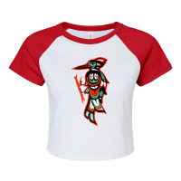 Haida Art, Native American Style, Woodpecker Totem T Shirt Raglan Crop Top | Artistshot