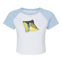 Solar Opposites Pupa Raglan Crop Top | Artistshot