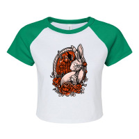 Mecha Rabbit, Mecha Rabbit Art, Mecha Rabbit Painting, Mecha Rabbit Vi Raglan Crop Top | Artistshot