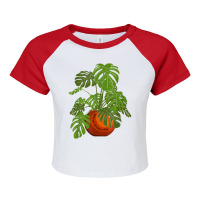 Monstera Potted Plant Friendly Plant Love Gardener Botanist T Shirt Raglan Crop Top | Artistshot