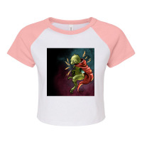 Space Invader Reptile, Space Invader, Reptile, Space Invader Reptile A Raglan Crop Top | Artistshot