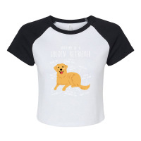 Golden Retriever Anatomy-5gjqg Raglan Crop Top | Artistshot