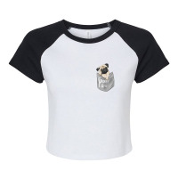 Men's Women's Kids Cool Pocket Pug Pets Raglan Crop Top | Artistshot