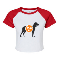 Dark Gray Hound With Orange _amp_ White Tri-star Raglan Crop Top | Artistshot