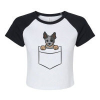 Blue Heeler In A Pocket Australian Cattle Dog Long Sleeve T Shirt Raglan Crop Top | Artistshot