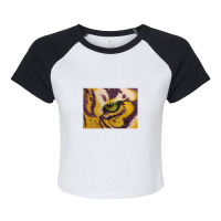 Eye Of The Tiger Raglan Crop Top | Artistshot