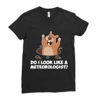 Do I Look Like A Meteorologist Funny Groundhog Day Ladies Fitted T-shirt | Artistshot