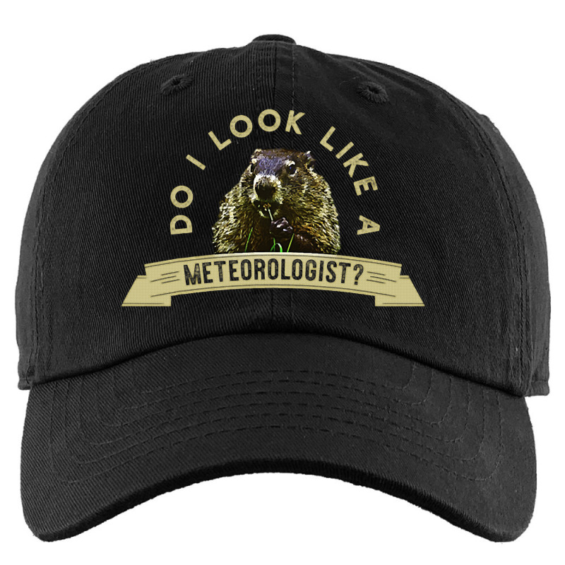 Do I Look Like A Meteorologist Respect The Woodchu Kids Cap by FriedaBarcia | Artistshot