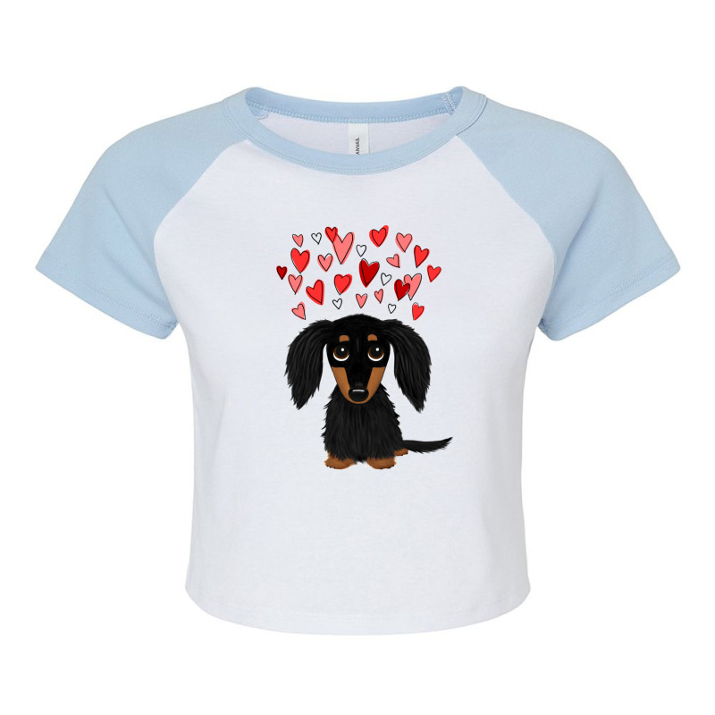 Black And Tan Longhaired Dachshund With Hearts For Boyfriend Raglan Crop Top by MarlonTaylor | Artistshot