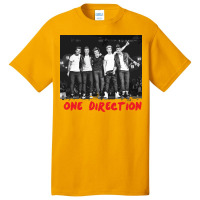 One Direction Concert 03 Basic T-shirt | Artistshot