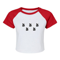 Instrumental Five Guitars Musical Typography Design Essential Raglan Crop Top | Artistshot