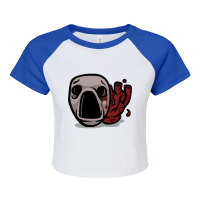 Fusion Fullmetal Alchemist - Nina (26) Raglan Crop Top | Artistshot