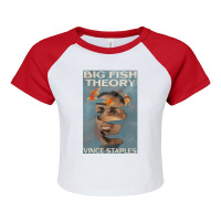 Big Fish Theory, Big Fish, Theory, The Big Fish Theory, Big Fish Theor Raglan Crop Top | Artistshot