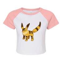 Fox Squirrel Nausicaa Raglan Crop Top | Artistshot