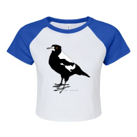 Magpie, Australian Bird Raglan Crop Top | Artistshot