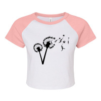 Dandelion Sky Travel Cool Raglan Crop Top | Artistshot