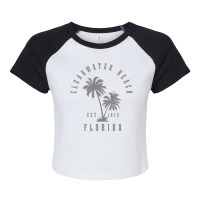 Clearwater Beach Est. 1915 Fl Florida Vintage Pullover Hoodie Raglan Crop Top | Artistshot