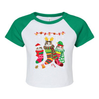 Three Exotic Shorthair Cats Inside Christmas Socks Merry Pullover Hood Raglan Crop Top | Artistshot