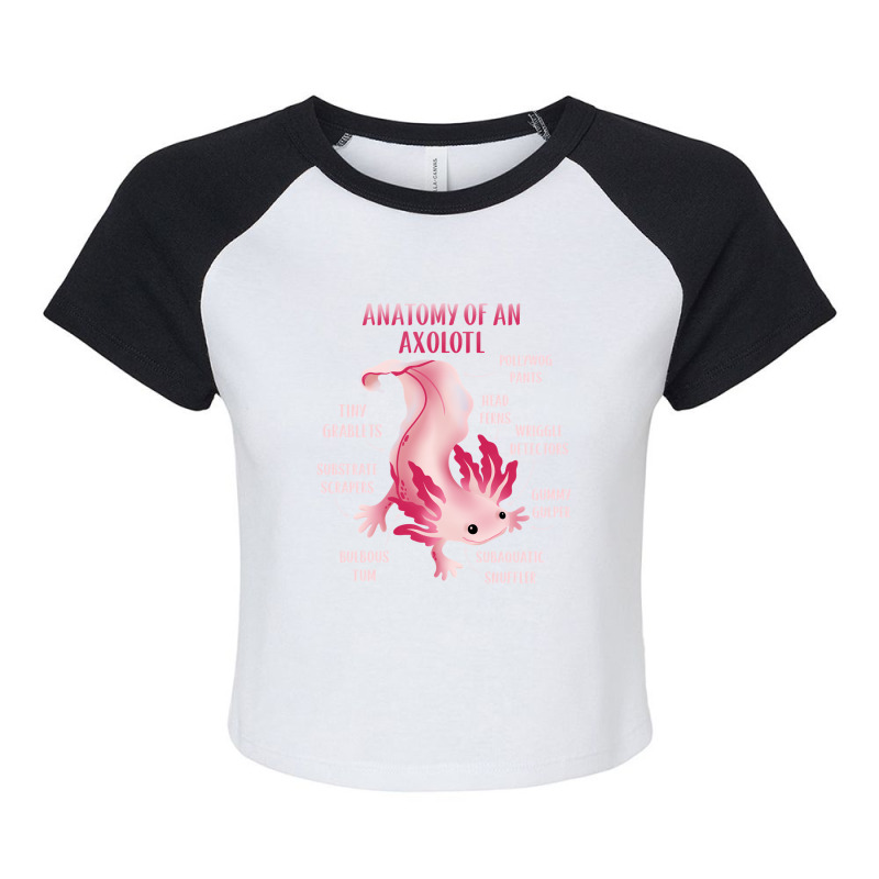 Cute Anatomy Of An Axolotl Raglan Crop Top by JessyTee01 | Artistshot