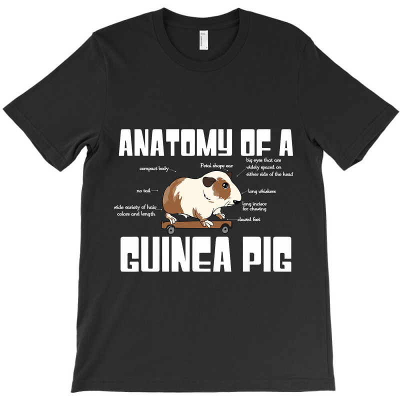 Anatomy Of A Guinea Pig Lover Funny Rodent Pet Ani T-shirt | Artistshot