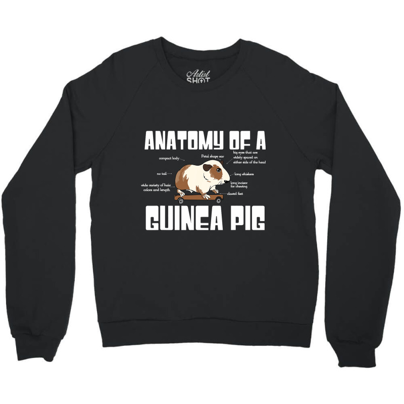 Anatomy Of A Guinea Pig Lover Funny Rodent Pet Ani Crewneck Sweatshirt | Artistshot