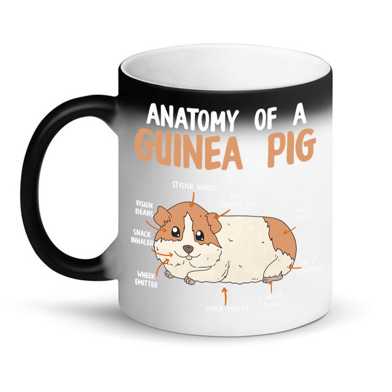 Anatomy Of A Guinea Pig Rodent Guinea Pig Magic Mug | Artistshot