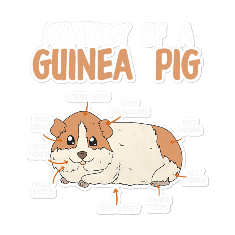 Anatomy Of A Guinea Pig Rodent Guinea Pig Sticker | Artistshot