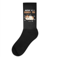 Anatomy Of A Guinea Pig Rodent Guinea Pig Socks | Artistshot