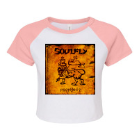 Prophecy   Soulfly Raglan Crop Top | Artistshot