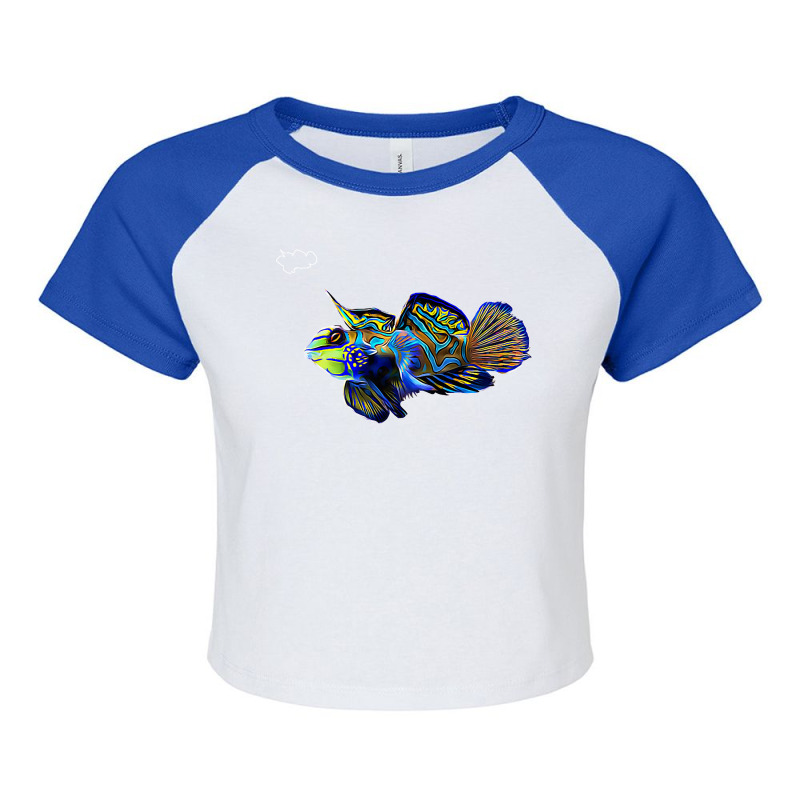 Mandarin Goby Dragonet Saltwater Reef Aquarium Fish Tank Premium Raglan Crop Top by MarlonChristopherMoyer | Artistshot