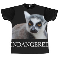 Endangered Animal Species Ringtailed Lemur Endange Graphic T-shirt | Artistshot