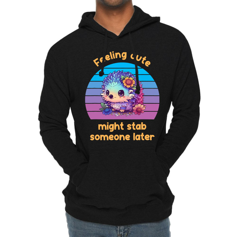 Feeling Cute Might Stab Someone Later Hedgehog Vin Lightweight Hoodie | Artistshot