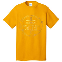 Normal Isn't Coming Back But Jesus Is Revelation 14 Costume Basic T-shirt | Artistshot