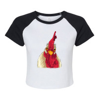 Chicken Face With Staring Eyes, Comb & Wattles Raglan Crop Top | Artistshot