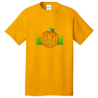 Pumpkin On The Grass Basic T-shirt | Artistshot