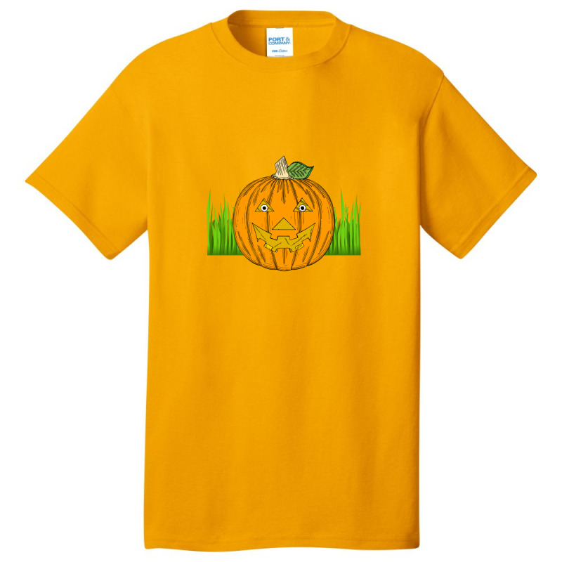 Pumpkin On The Grass Basic T-shirt | Artistshot