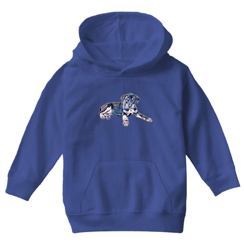 A Mixed Breed Puppy Laying Do Youth Hoodie | Artistshot