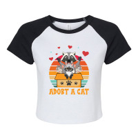 Limited Edition Cat Lover Adopt A Forbidden Cats Retro Raglan Crop Top | Artistshot