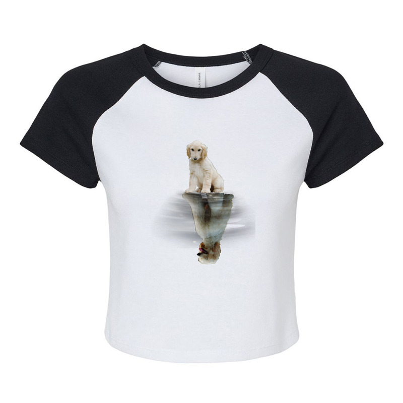 Trending Afghan Hound-ha4oj Raglan Crop Top by seifertmurryq3jmxs | Artistshot