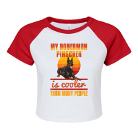 My Doberman Pincher Is Cooler Than Many People Doberman Love T Shirt Raglan Crop Top | Artistshot