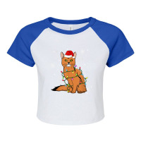 Somali Cat Christmas Lights Christmas Cat Santa Hat Raglan Crop Top | Artistshot