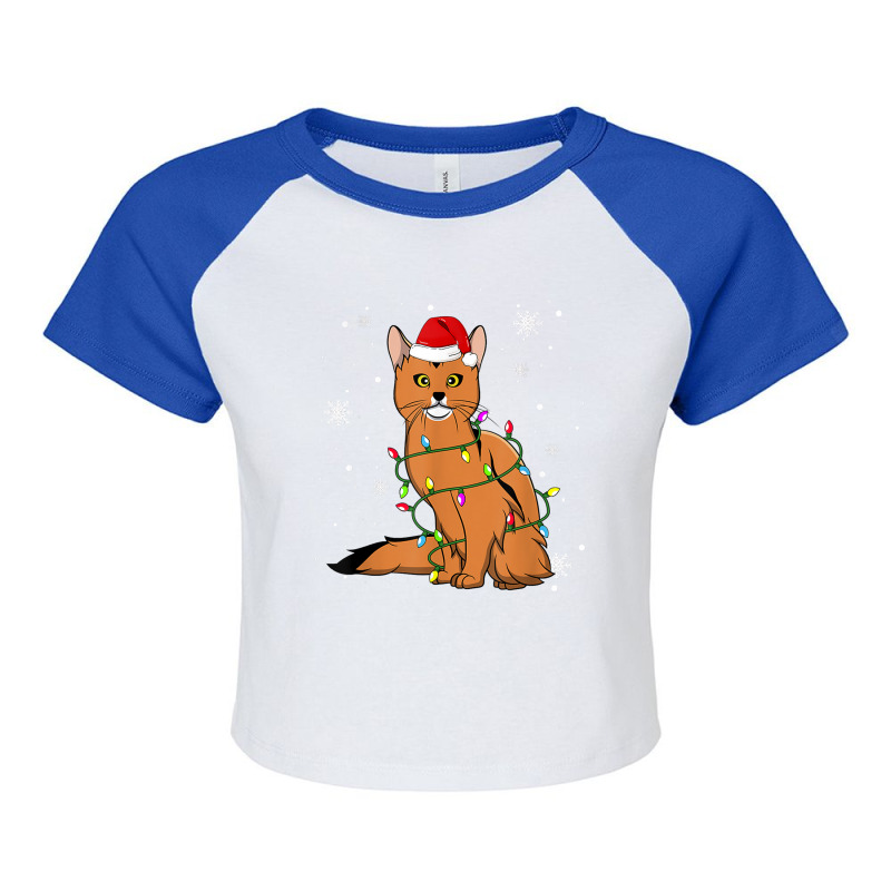 Somali Cat Christmas Lights Christmas Cat Santa Hat Raglan Crop Top by dianaamccray | Artistshot