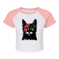 Black Cat Rebel Raglan Crop Top | Artistshot