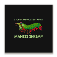 Crustacean I Dont Care Unless It’s About Mantis  Metal Print Square | Artistshot