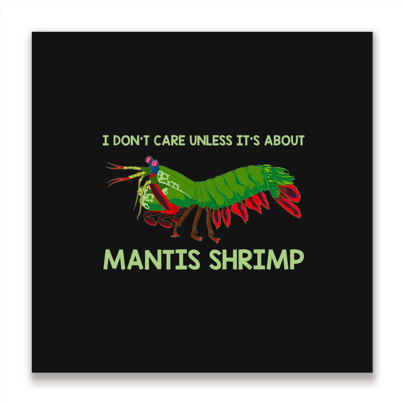 Crustacean I Dont Care Unless It’s About Mantis  Metal Print Square | Artistshot