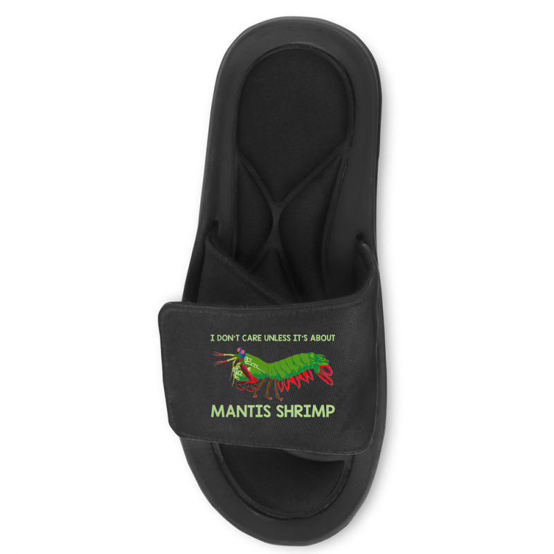 Crustacean I Dont Care Unless It’s About Mantis  Slide Sandal | Artistshot