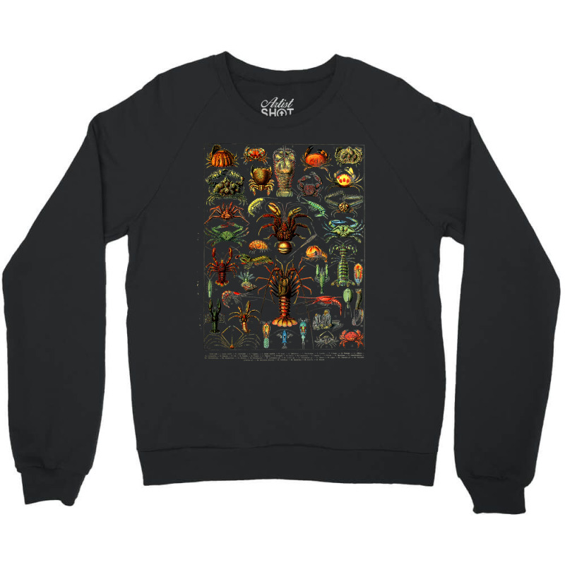 Crustaceans Lobster Crab Shrimp Chart Sea Ocean Crewneck Sweatshirt | Artistshot