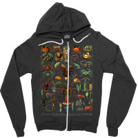 Crustaceans Lobster Crab Shrimp Chart Sea Ocean Zipper Hoodie | Artistshot