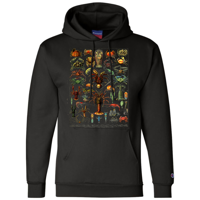 Crustaceans Lobster Crab Shrimp Chart Sea Ocean Champion Hoodie | Artistshot