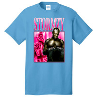 Stormzys, Stormzys Vintage, Stormzys Art, Stormzys Painting, The Storm Basic T-shirt | Artistshot